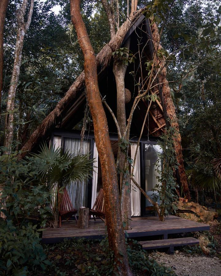 Kapok Bacalar - Plant Based Hotel Buenavista  Exteriör bild